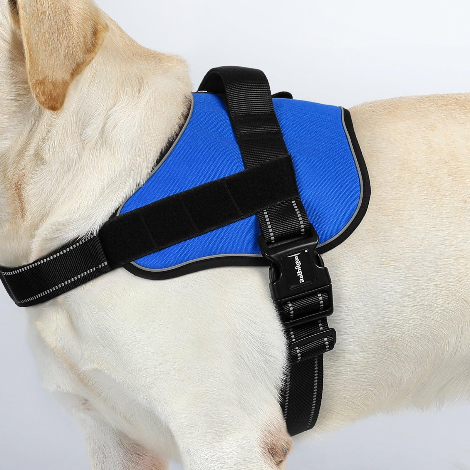 Easy Walk Dog Harness with One Buckle - Blue