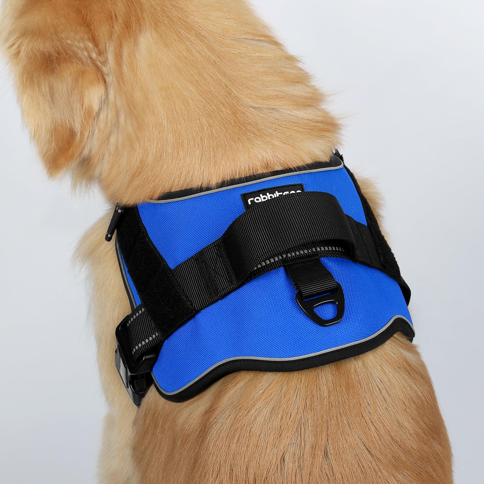 Easy Walk Dog Harness with One Buckle - Blue