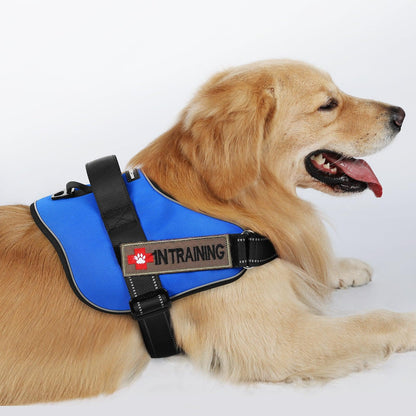 Easy Walk Dog Harness with One Buckle - Blue