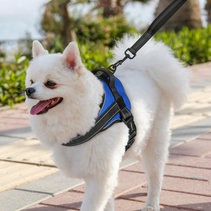 Easy Walk Dog Harness with One Easy-Fit Buckle - Blue 