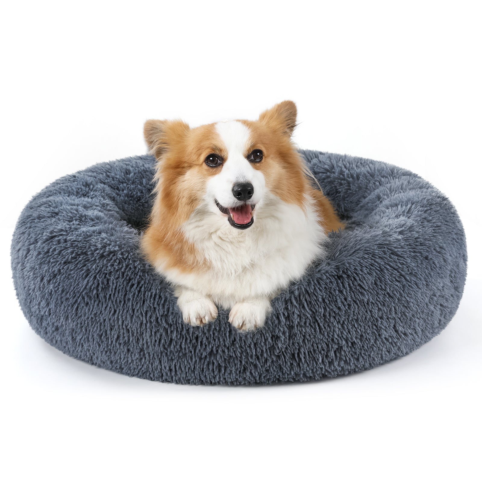 Floof Calming 24'' Dog Bed for Small Dog