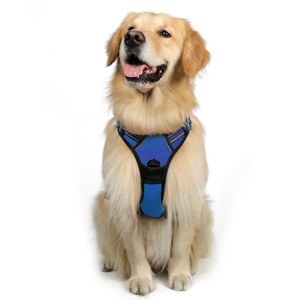 Classic Fit No Pull Dog Harness - Dazzling Blue