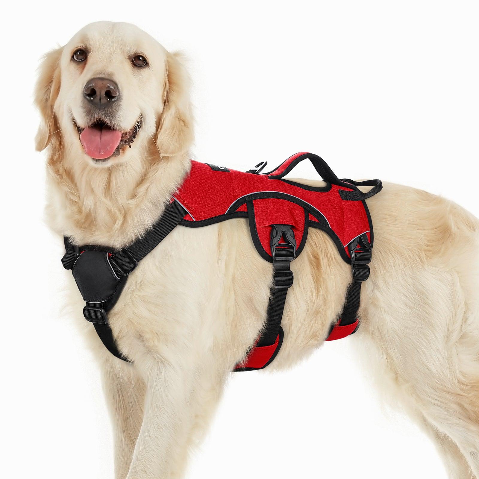 Rabbitgoo Large Dog Harness with Handle for Lifting - Red