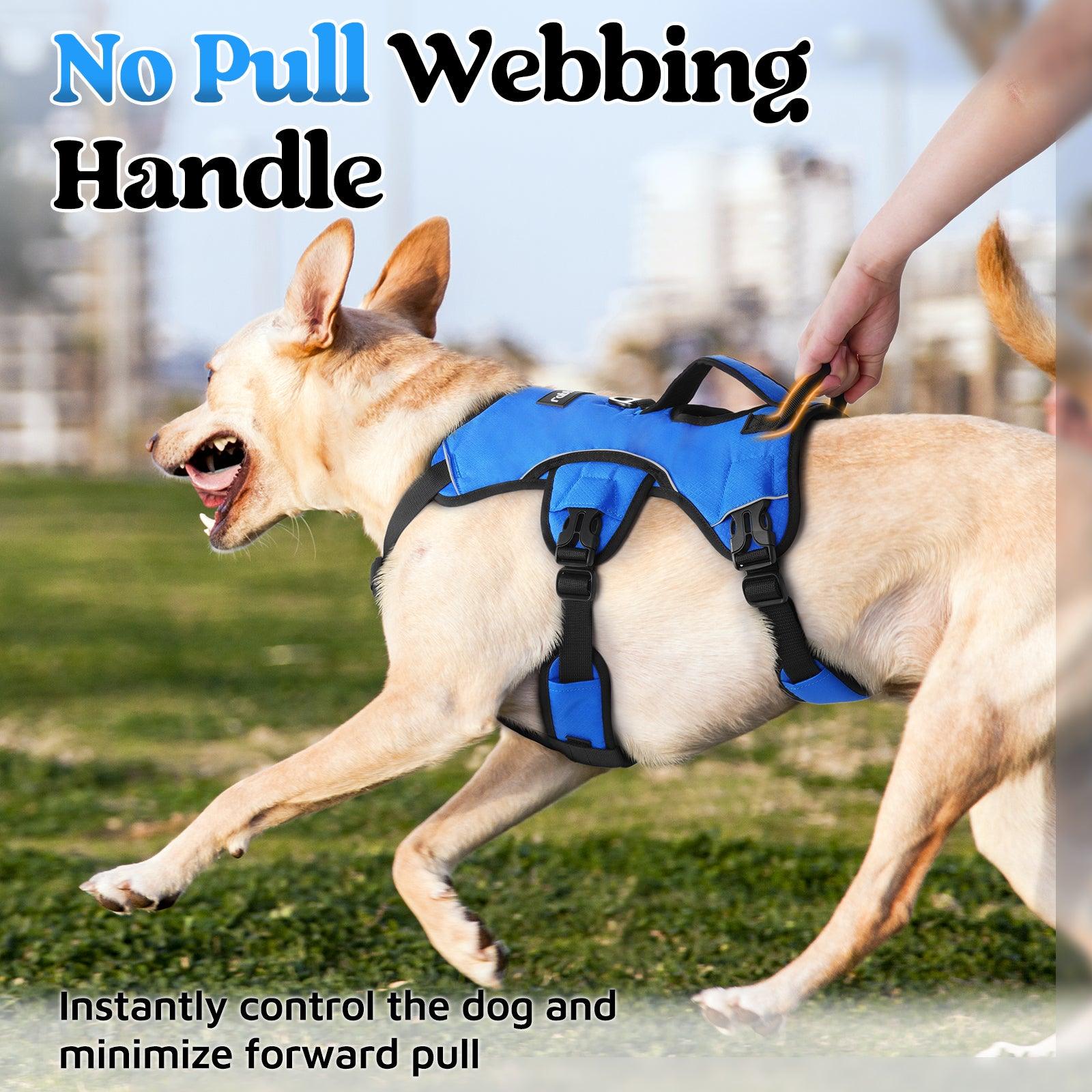 Rabbitgoo Large Dog Harness with Handle for Lifting - Blue