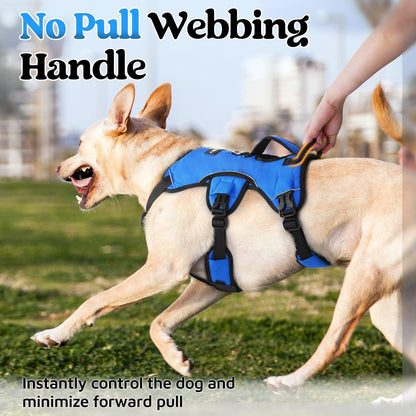 Rabbitgoo Large Dog Harness with Handle for Lifting - Blue