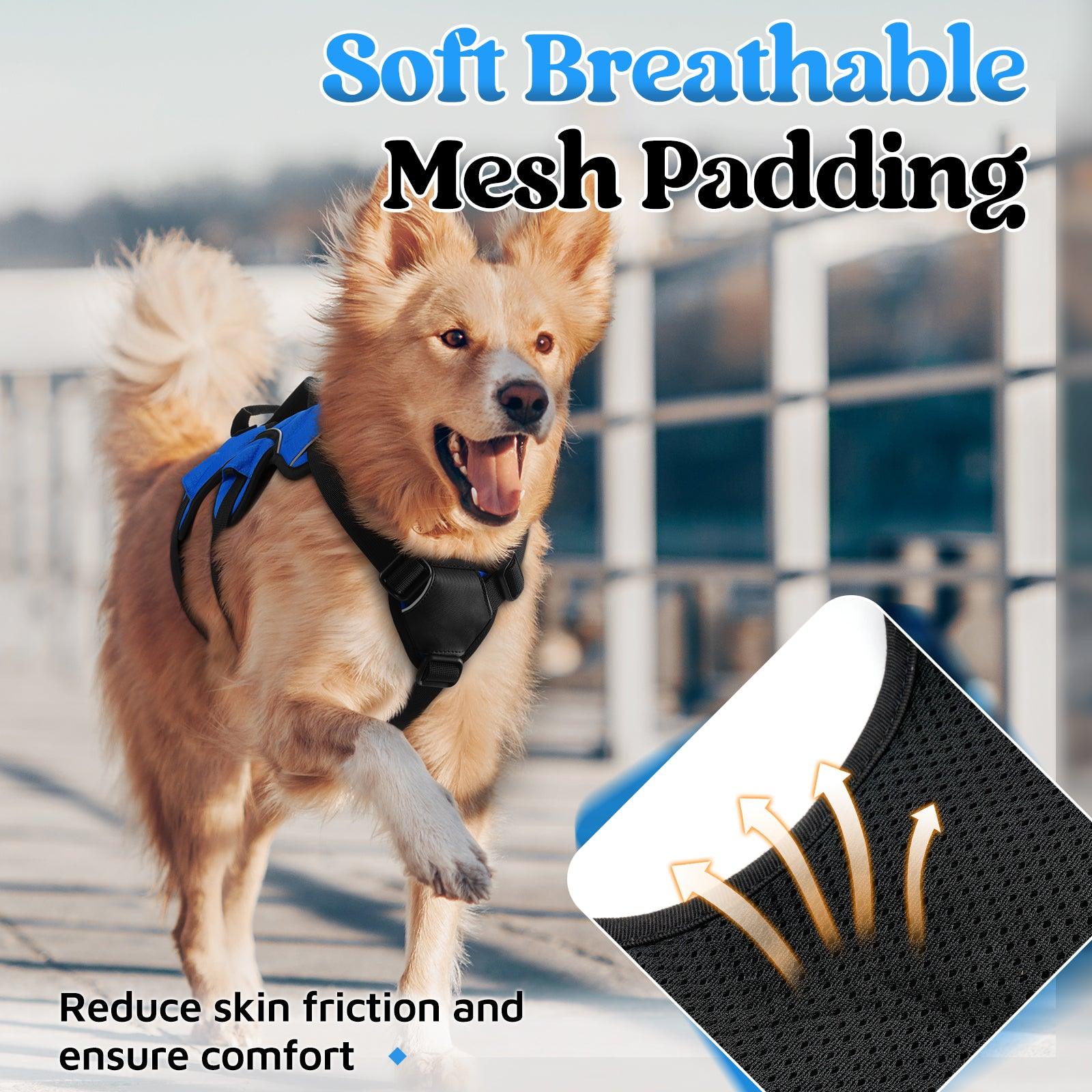Rabbitgoo Large Dog Harness with Handle for Lifting - Blue