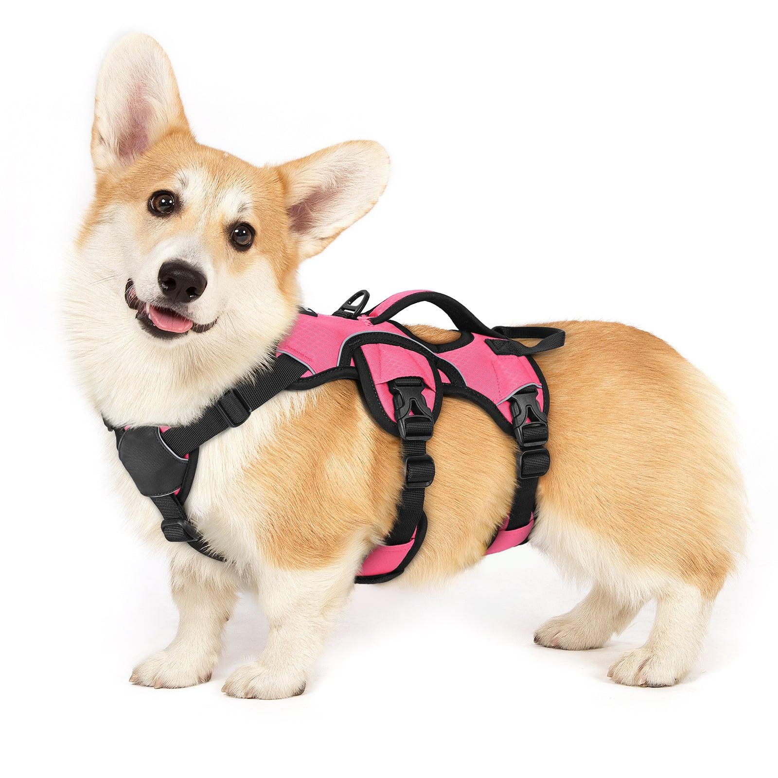 Rabbitgoo Large Dog Harness with Handle for Lifting - Pink