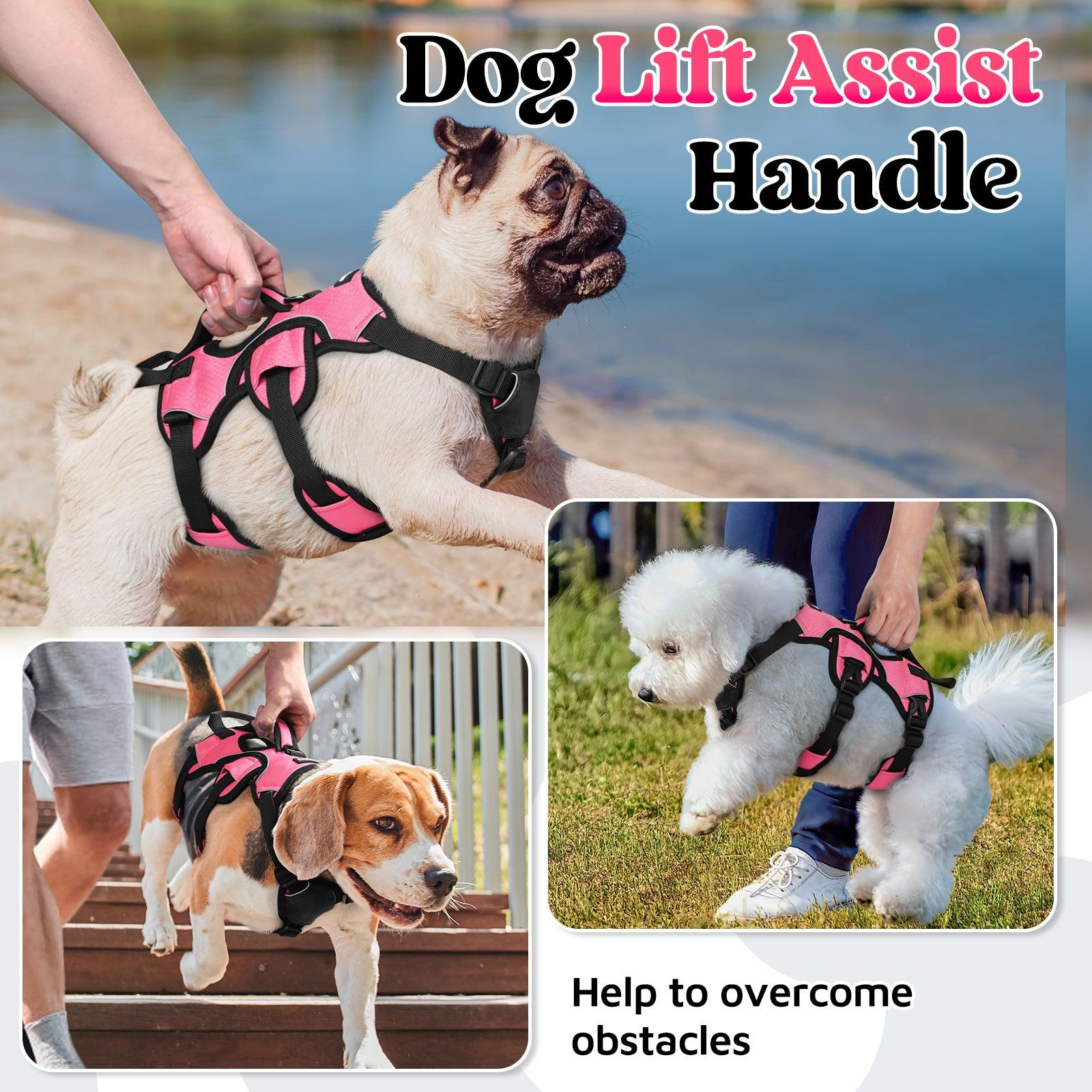 Rabbitgoo Large Dog Harness with Handle for Lifting - Pink