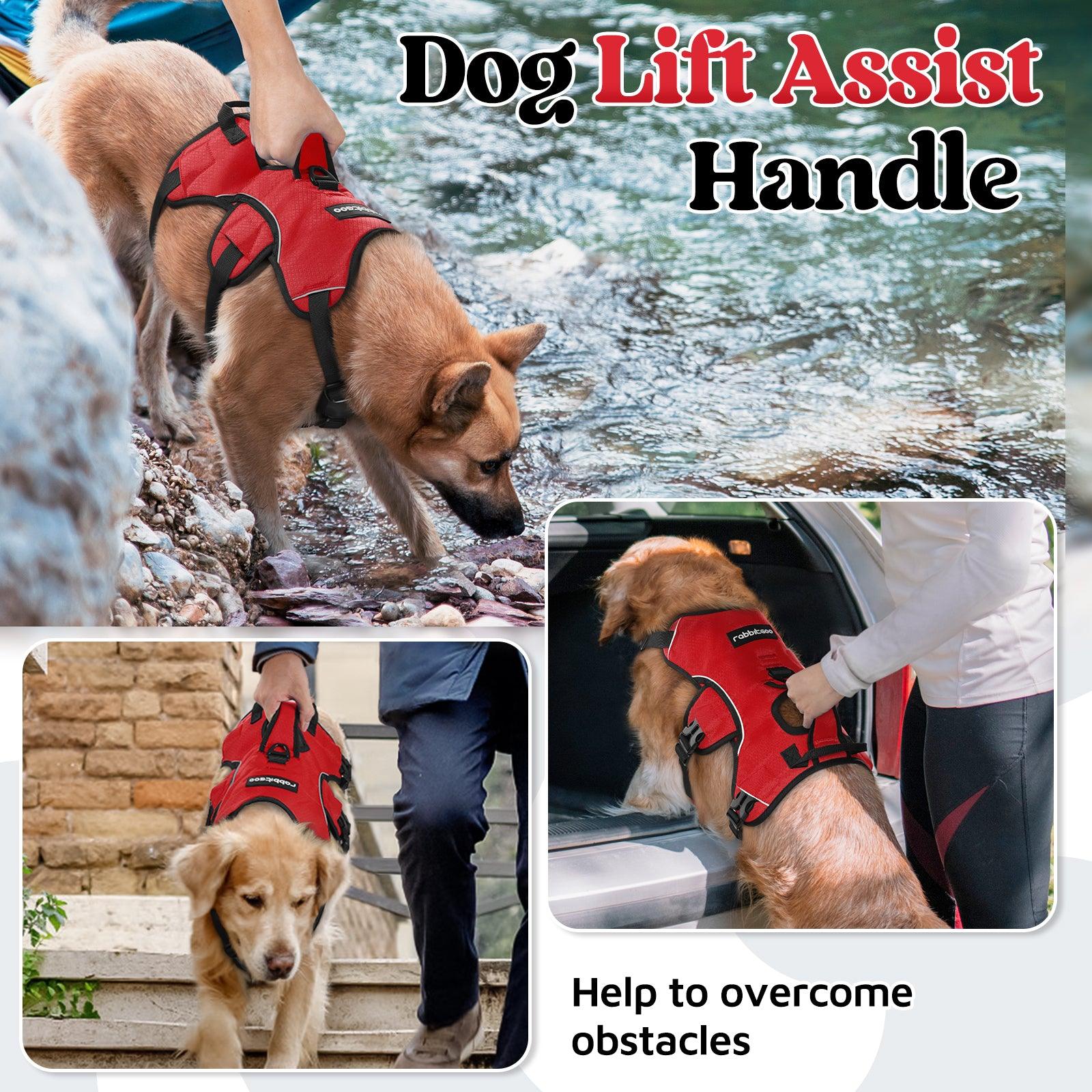 Rabbitgoo Large Dog Harness with Handle for Lifting - Red