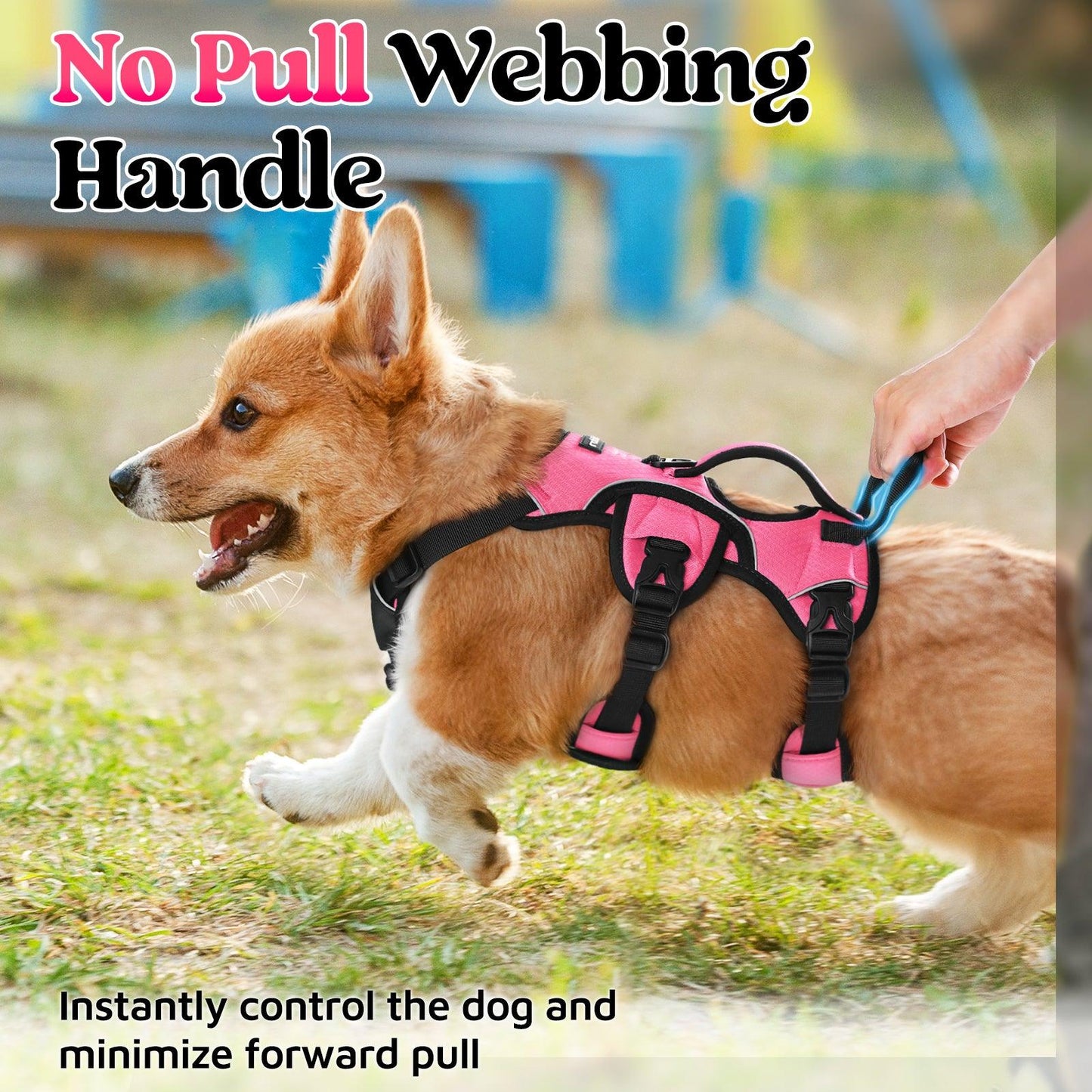 Rabbitgoo Large Dog Harness with Handle for Lifting - Pink