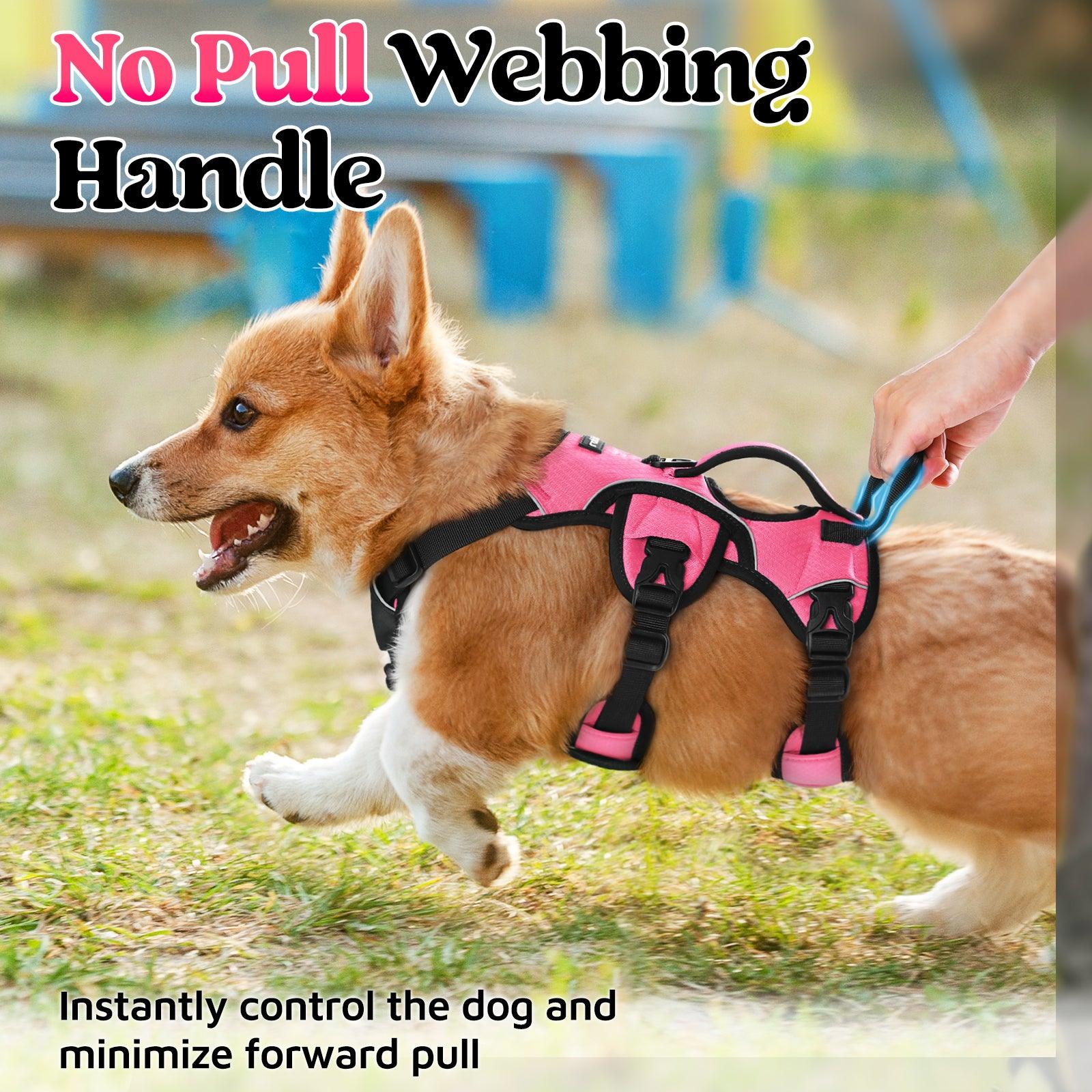 Rabbitgoo Large Dog Harness with Handle for Lifting - Pink