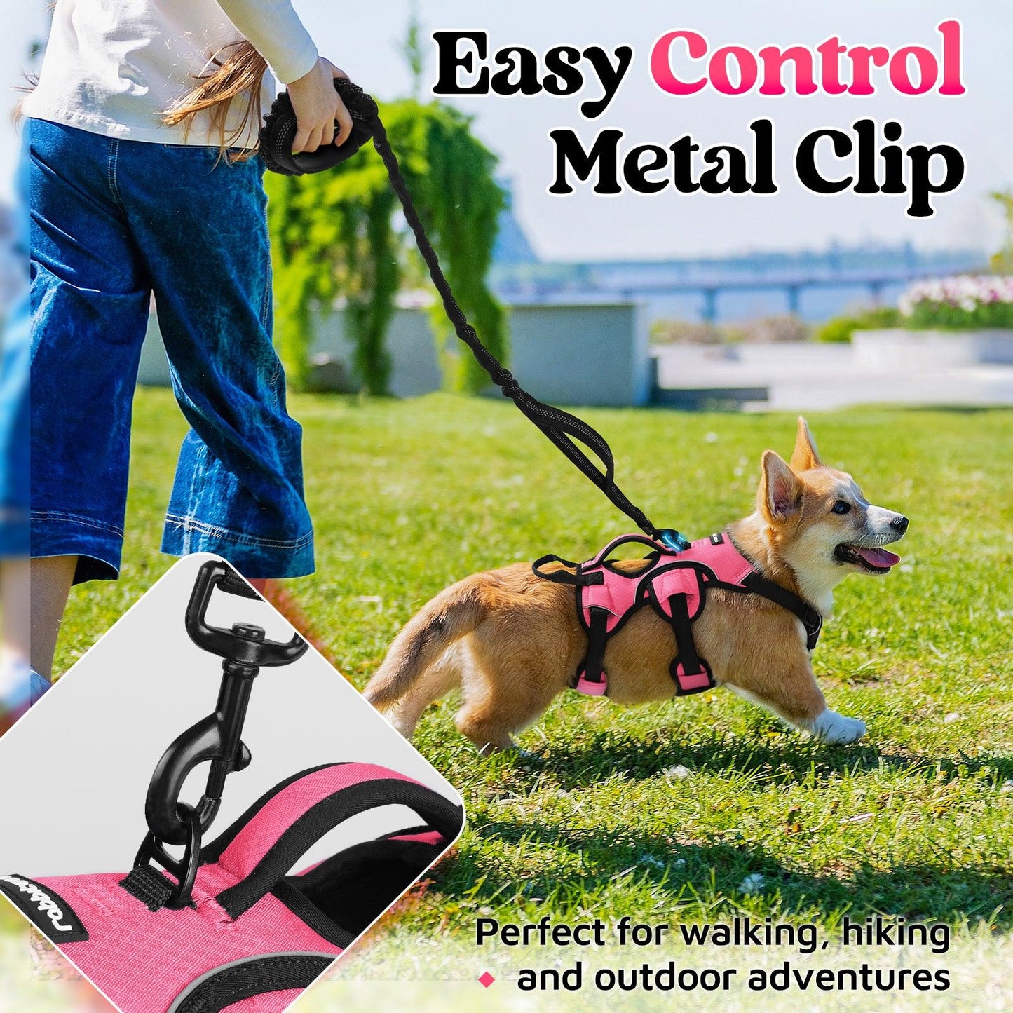 Rabbitgoo Large Dog Harness with Handle for Lifting - Pink