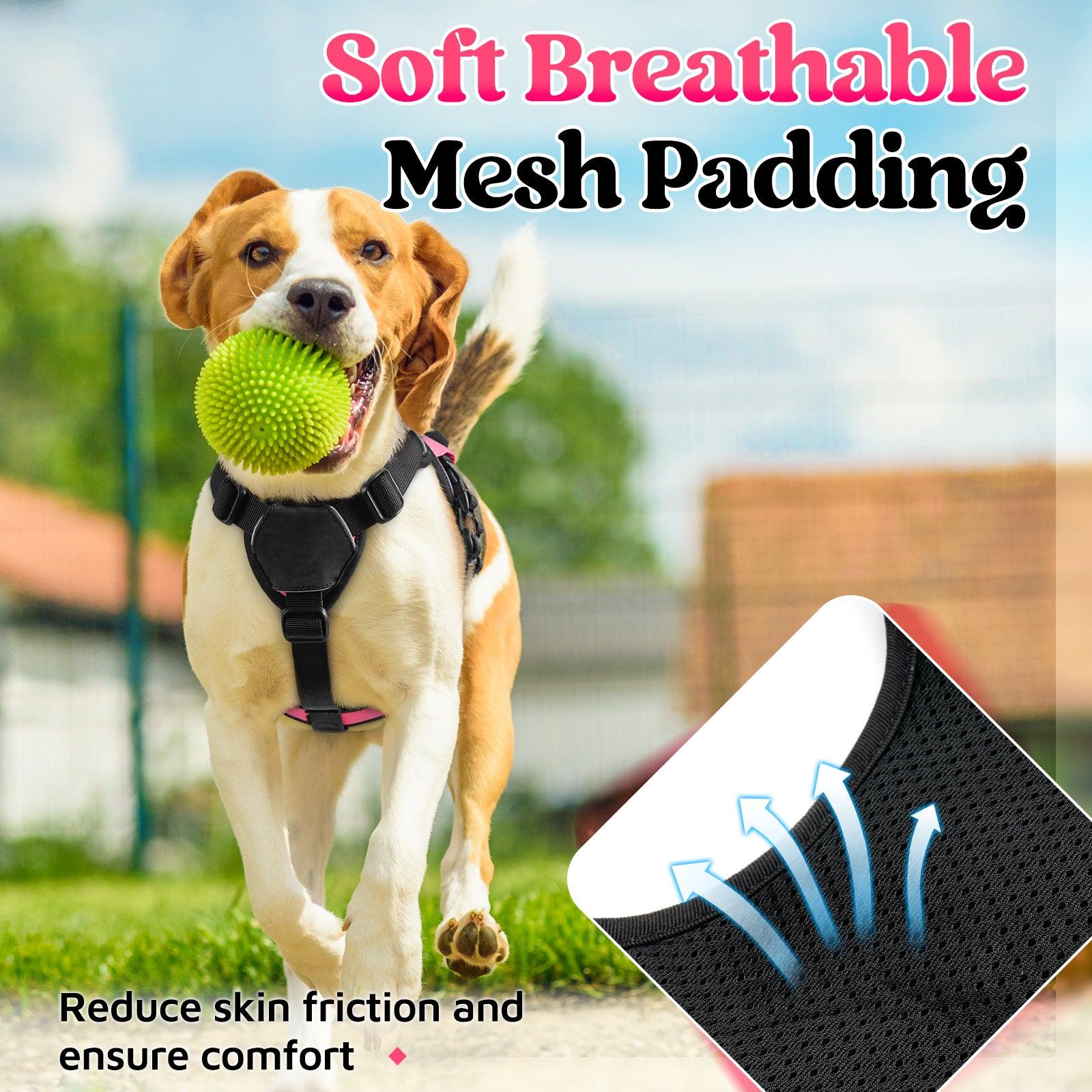 Rabbitgoo Large Dog Harness with Handle for Lifting - Pink