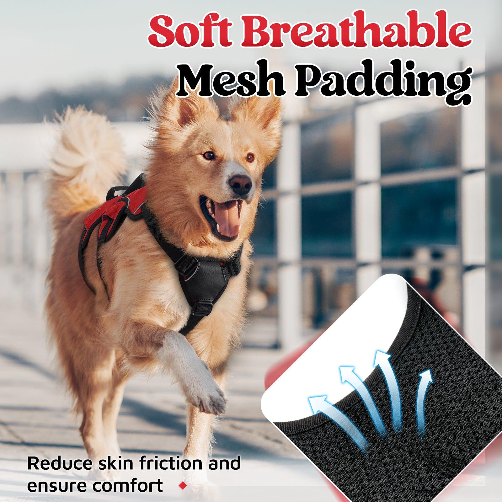 Rabbitgoo Large Dog Harness with Handle for Lifting - Red