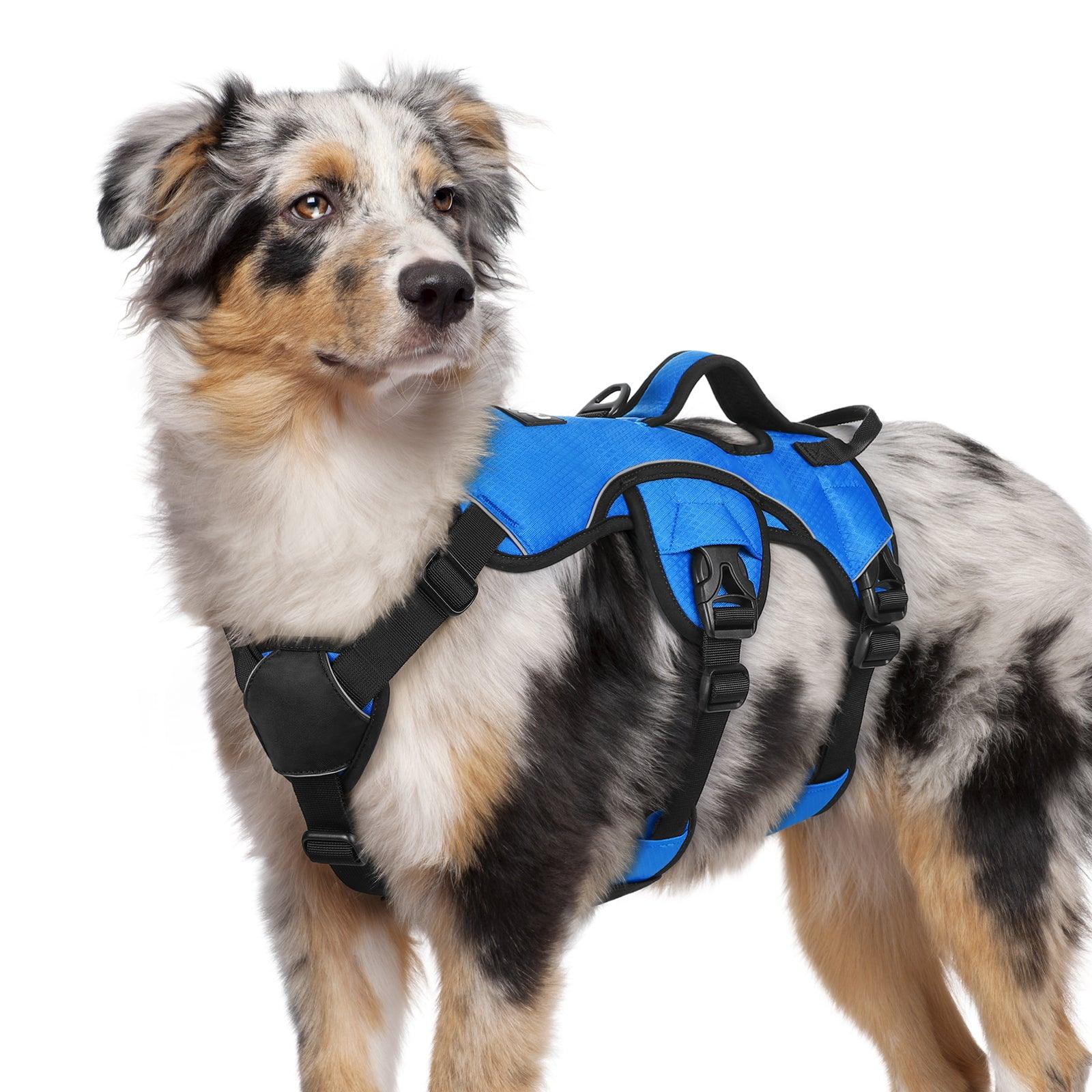 Rabbitgoo Large Dog Harness with Handle for Lifting - Blue