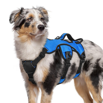 Rabbitgoo Large Dog Harness with Handle for Lifting - Blue