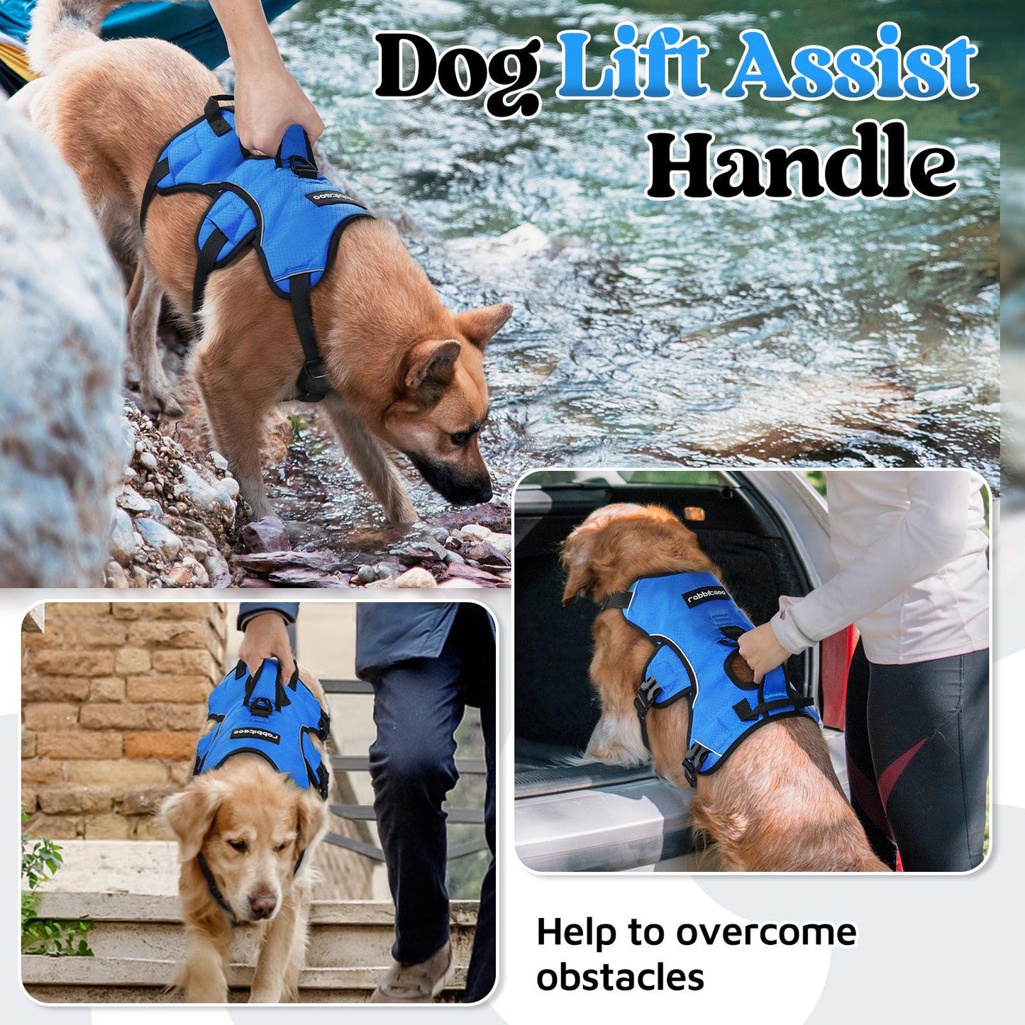 Rabbitgoo Large Dog Harness with Handle for Lifting - Blue