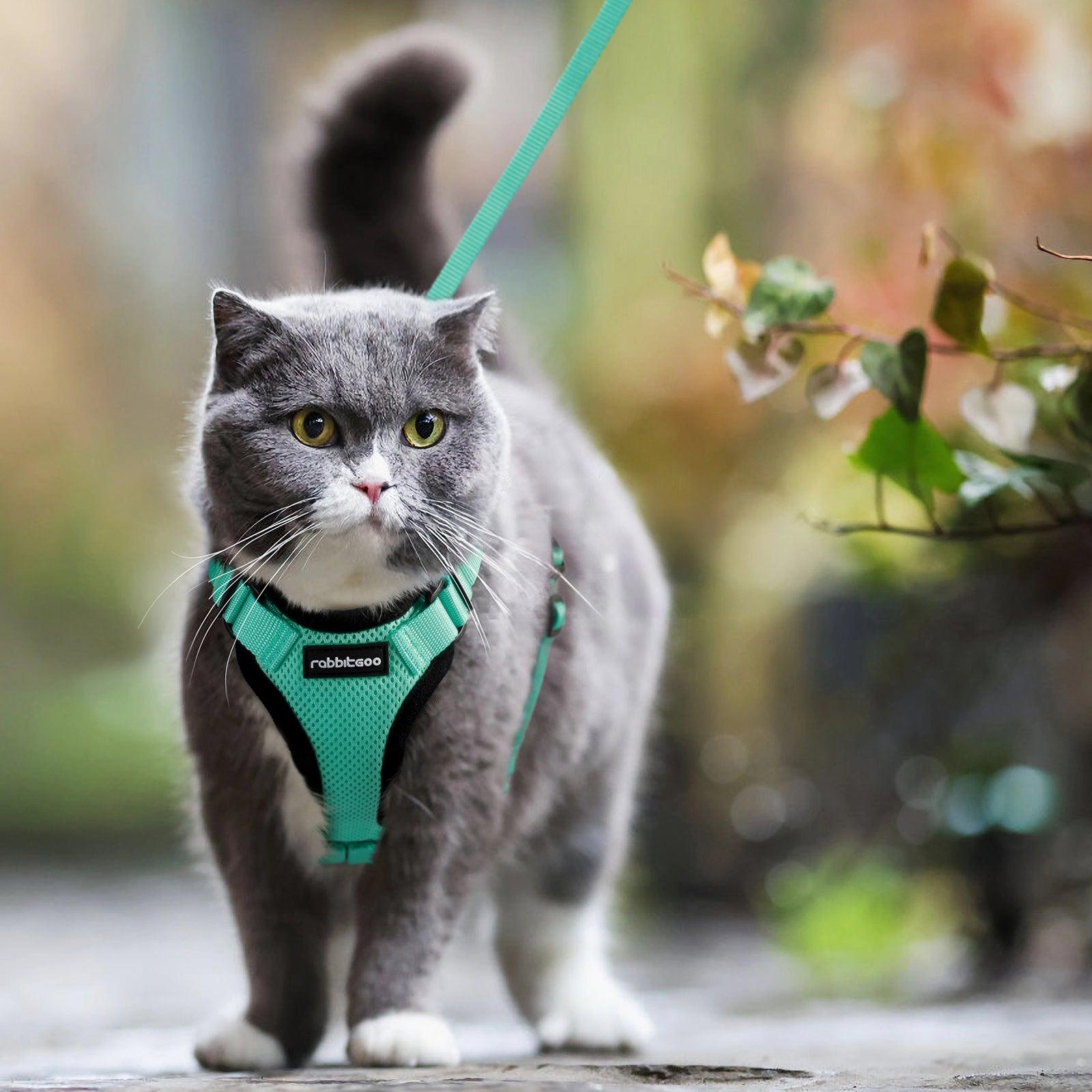 Rabbitgoo Adjustable Cat Harness and Leash Set - Emerald