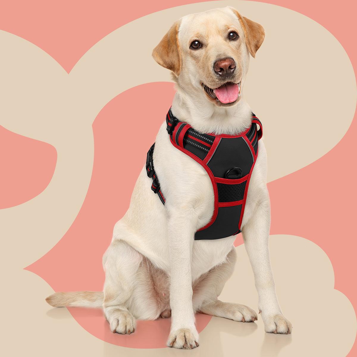 Rabbitgoo Multicolored No Pull Dog Harness - black & red