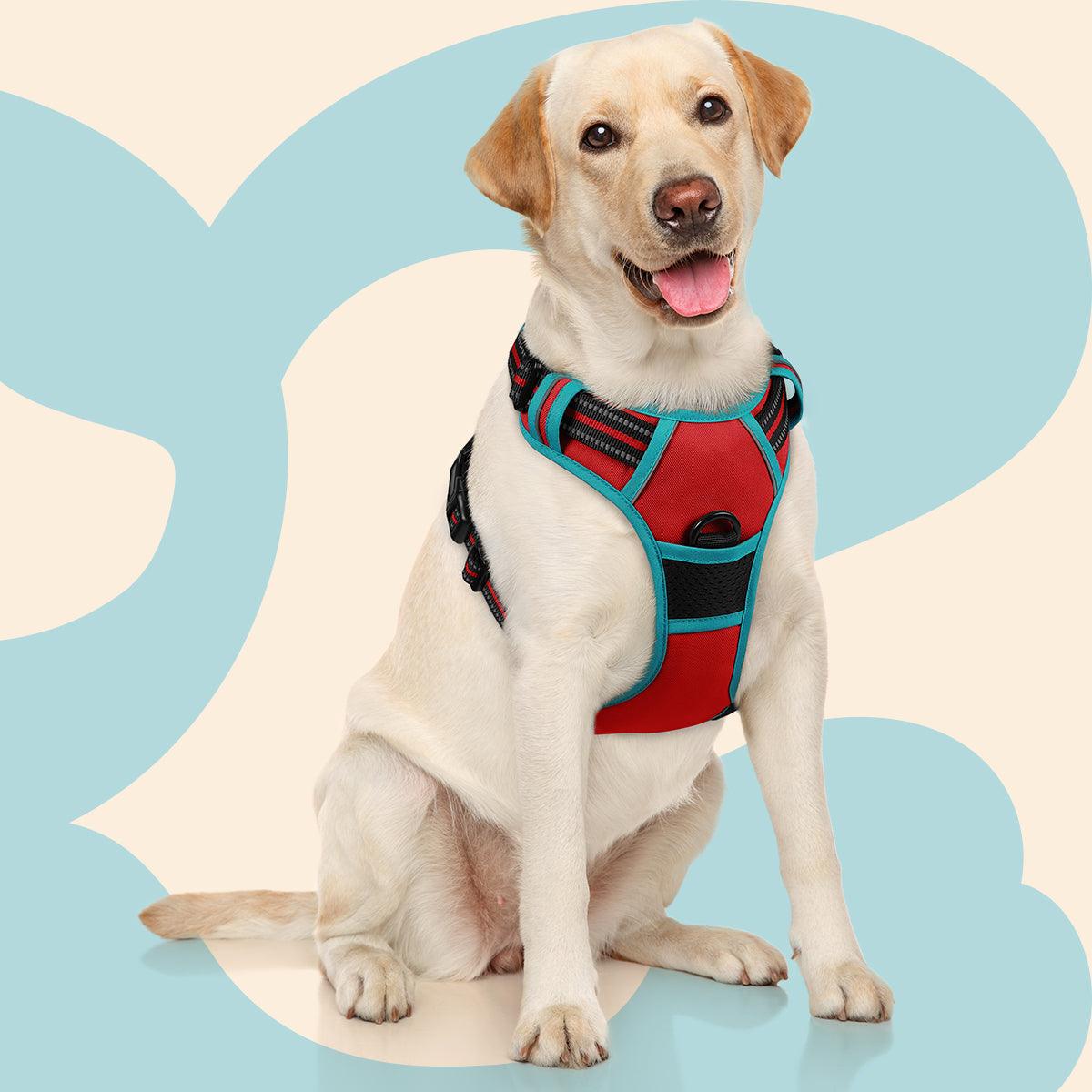 Rabbitgoo Multicolored No Pull Dog Harness - Red & Teal