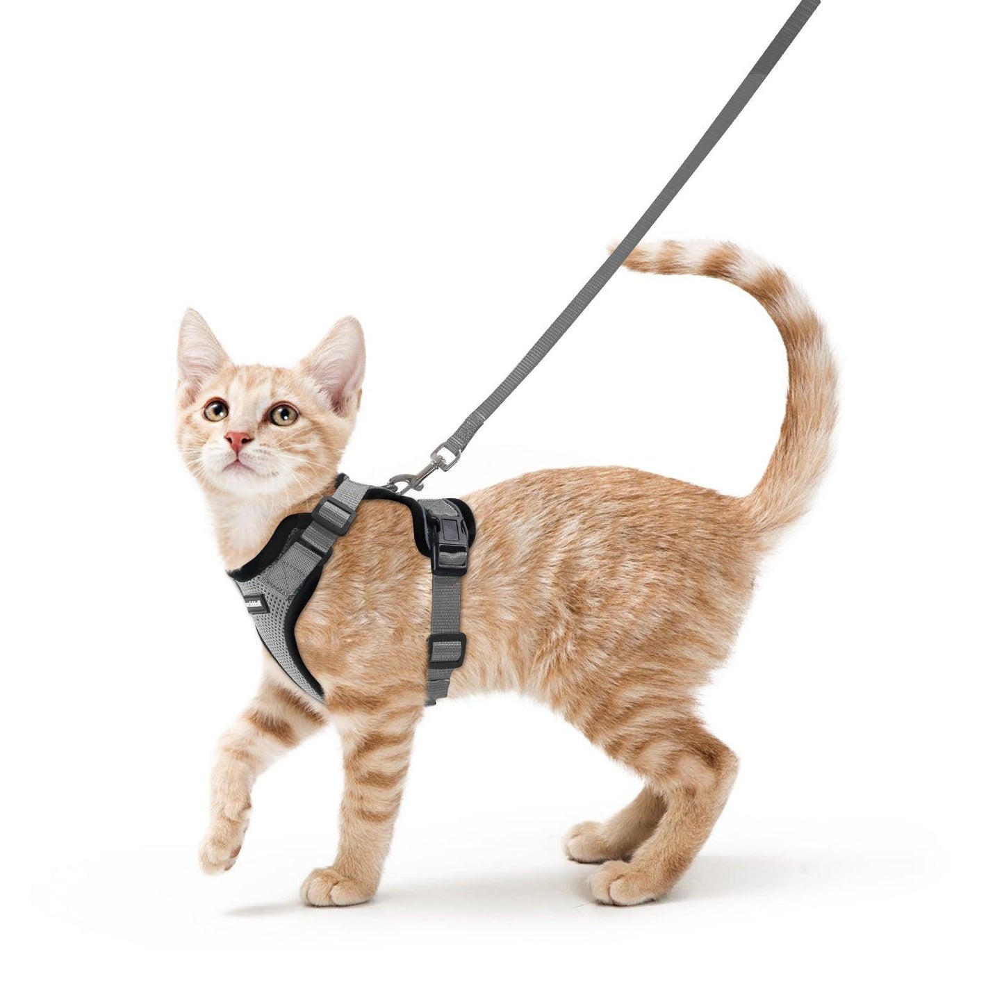 Rabbitgoo Adjustable Cat Harness and Leash Set - Grey / XXS