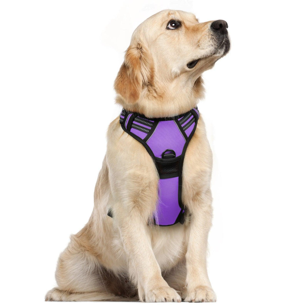 Classic Fit No Pull Dog Harness - Purple