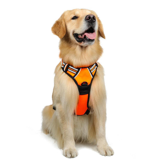 Rabbitgoo No Pull Dog Harness - Orange 