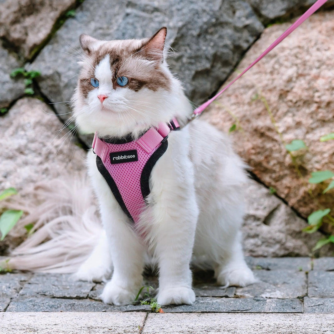 Rabbitgoo Classic Adjustable Cat Harness and Leash Set - Pink