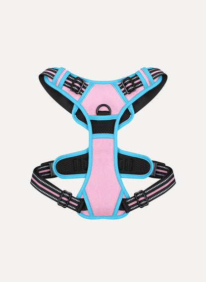 Rabbitgoo Multicolored No Pull Dog Harness - Pink & Blue
