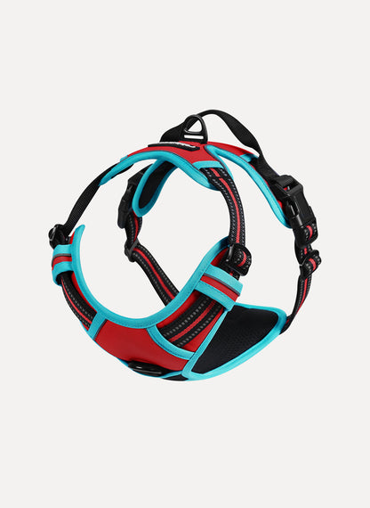 Rabbitgoo Multicolored No Pull Dog Harness - Red & Teal 