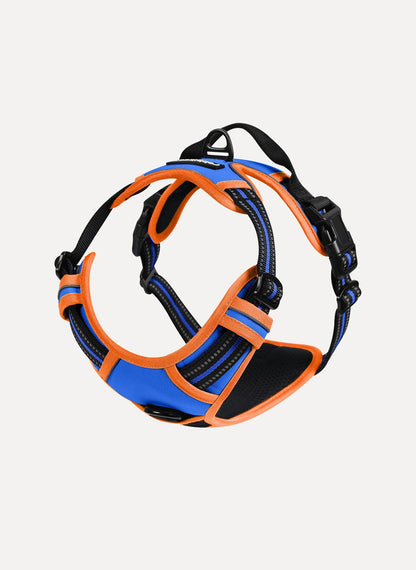 Rabbitgoo Multicolored No Pull Dog Harness - Orange & Blue
