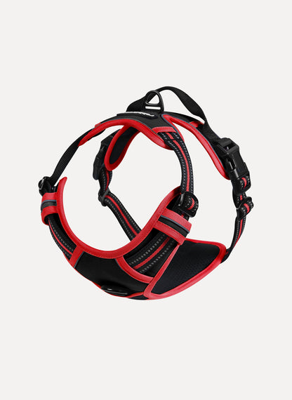Rabbitgoo Multicolored No Pull Dog Harness - Black & Red