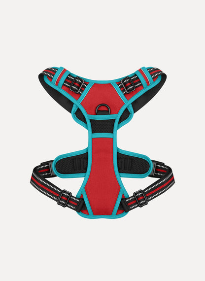 Rabbitgoo Multicolored No Pull Dog Harness - Red & Teal 