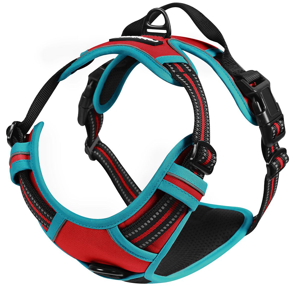 Rabbitgoo Multicolored No Pull Dog Harness - Red & Teal