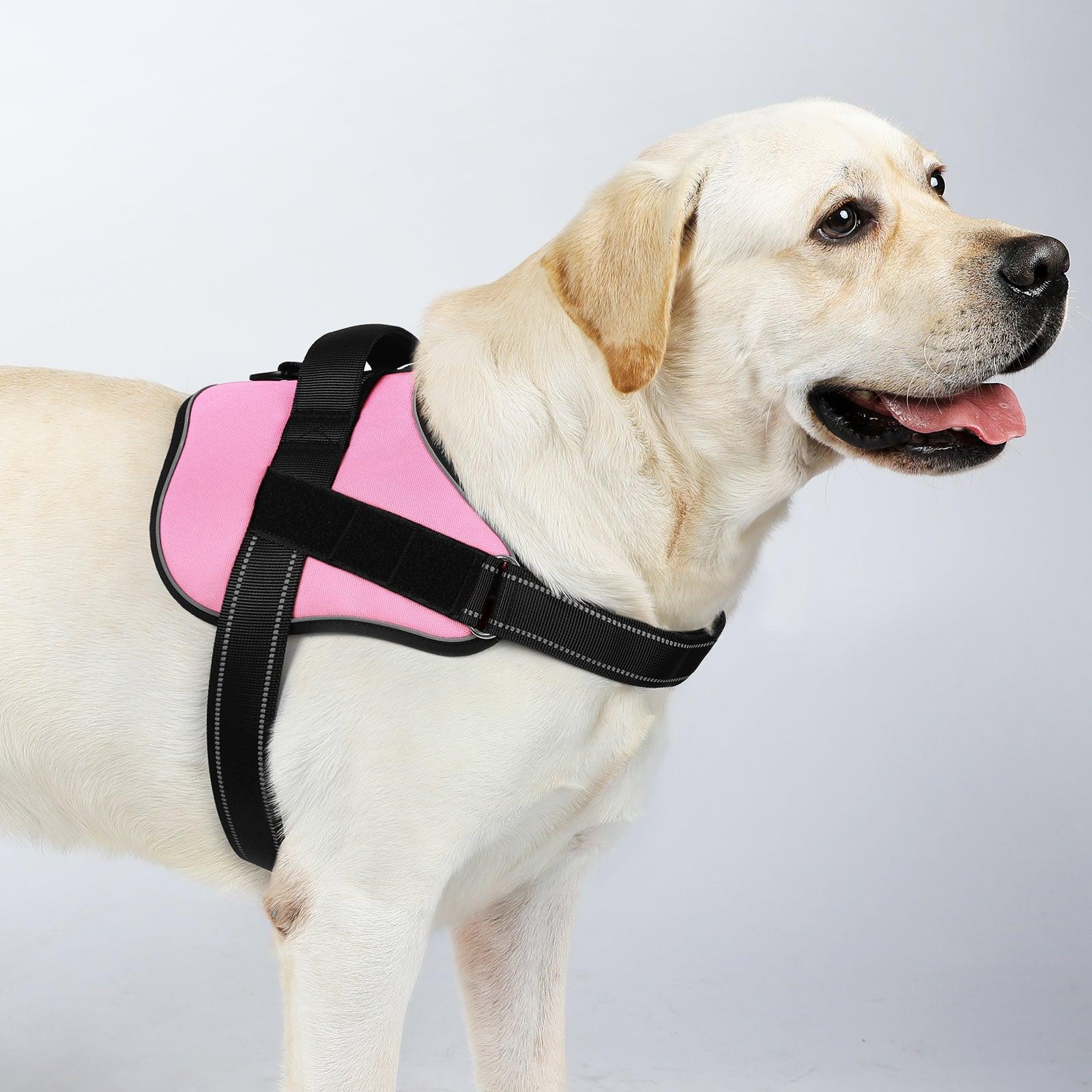 Easy Walk Dog Harness with One Buckle - Pink