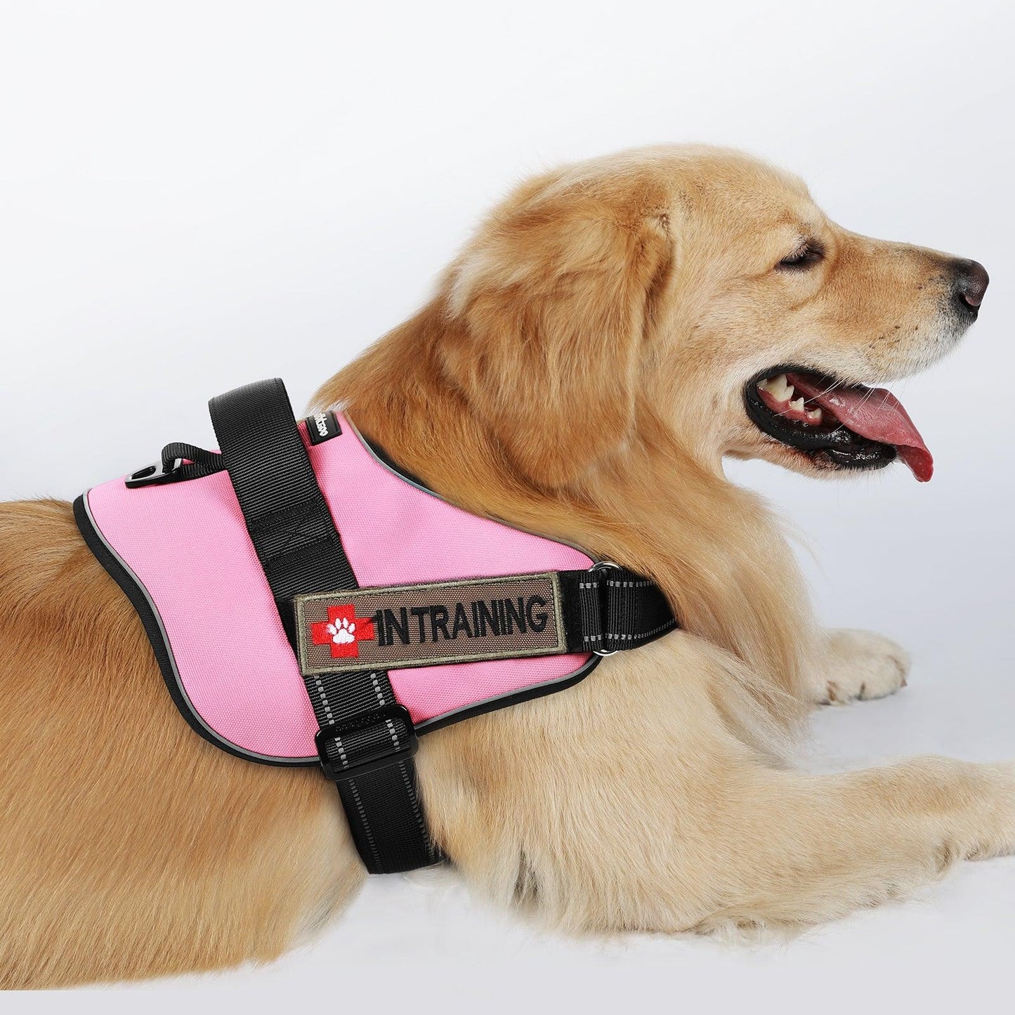 Easy Walk Dog Harness with One Easy-Fit Buckle - Pink 