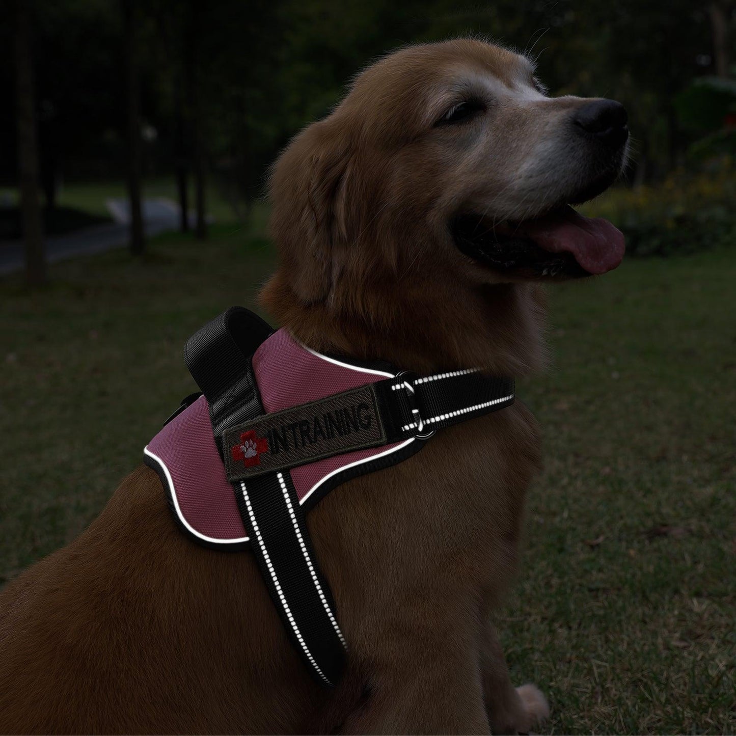 Easy Walk Dog Harness with One Easy-Fit Buckle - Pink 