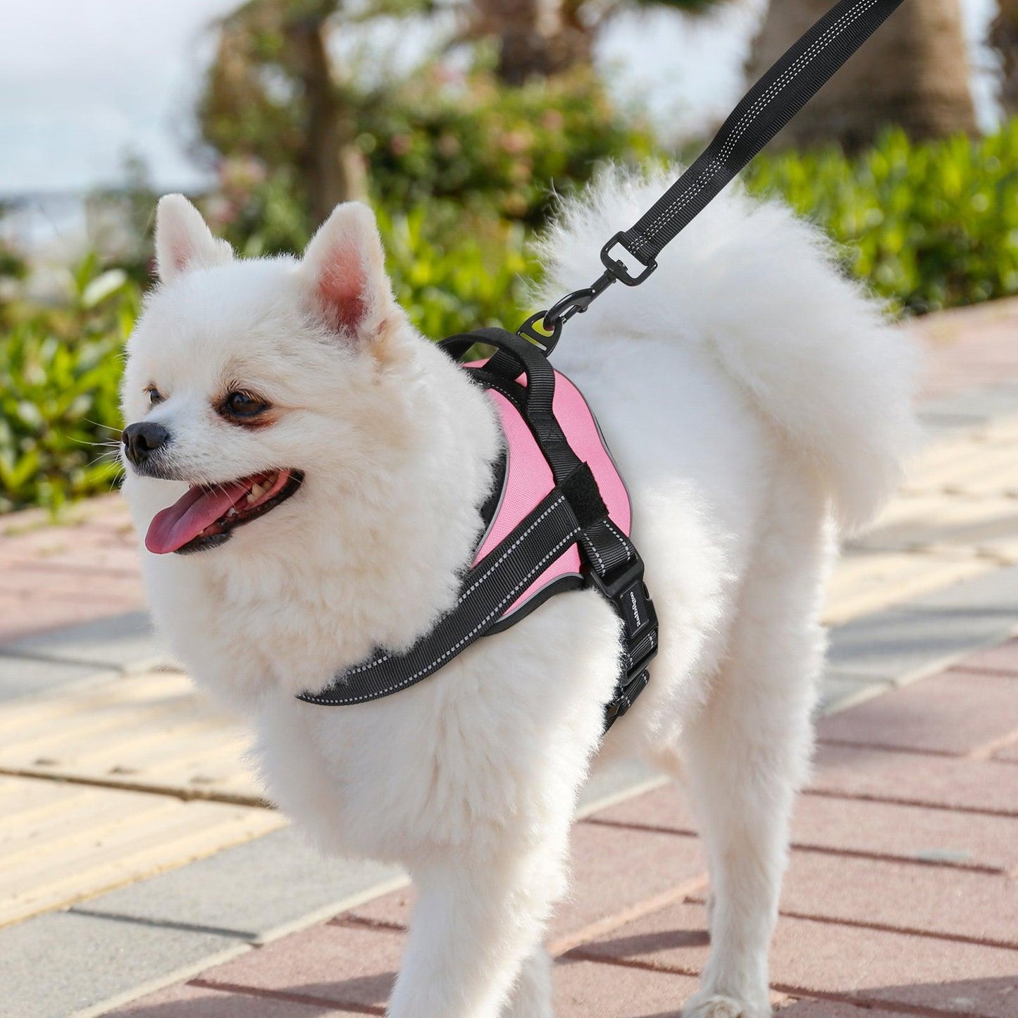 Easy Walk Dog Harness with One Buckle - Pink