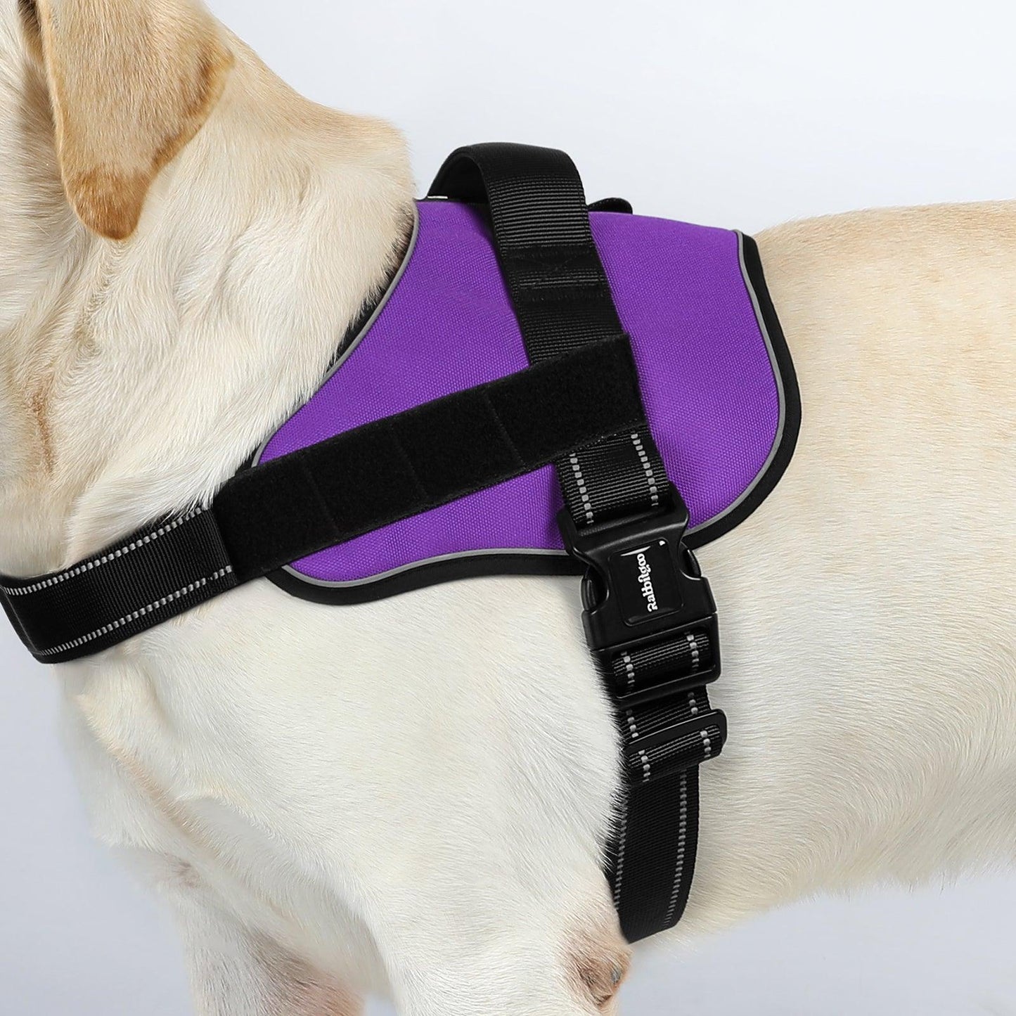 Easy Walk Dog Harness with One Easy-Fit Buckle - Purple 