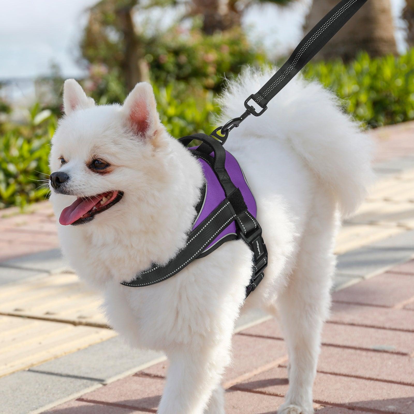 Easy Walk Dog Harness with One Buckle - Purple