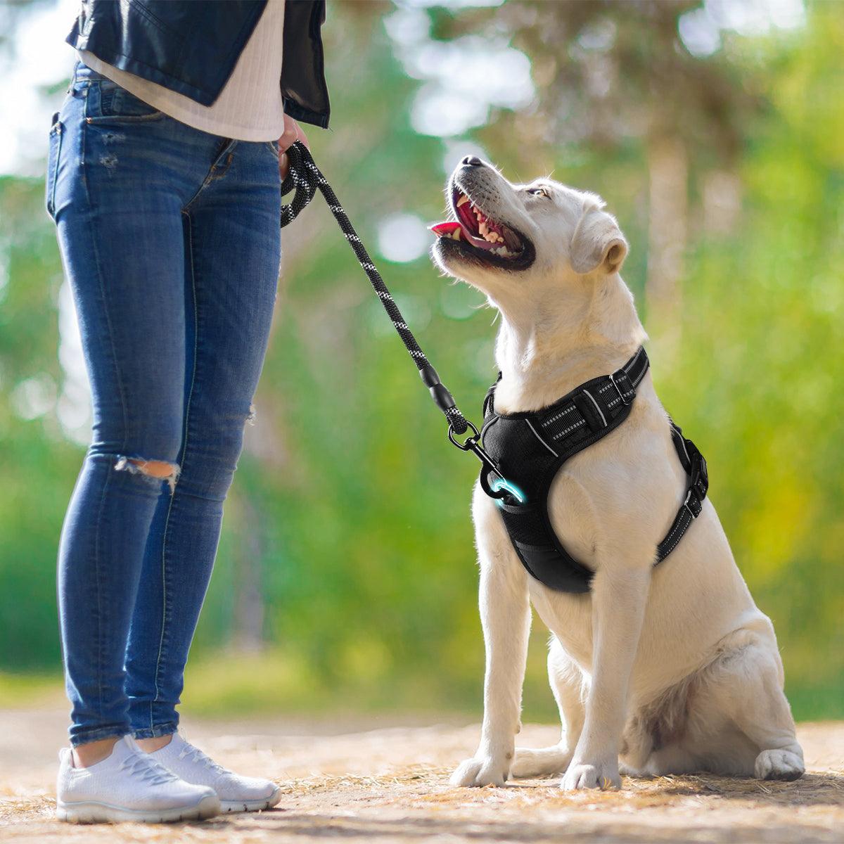 No Pull Dog Harness and Leash Set - Rabbitgoo