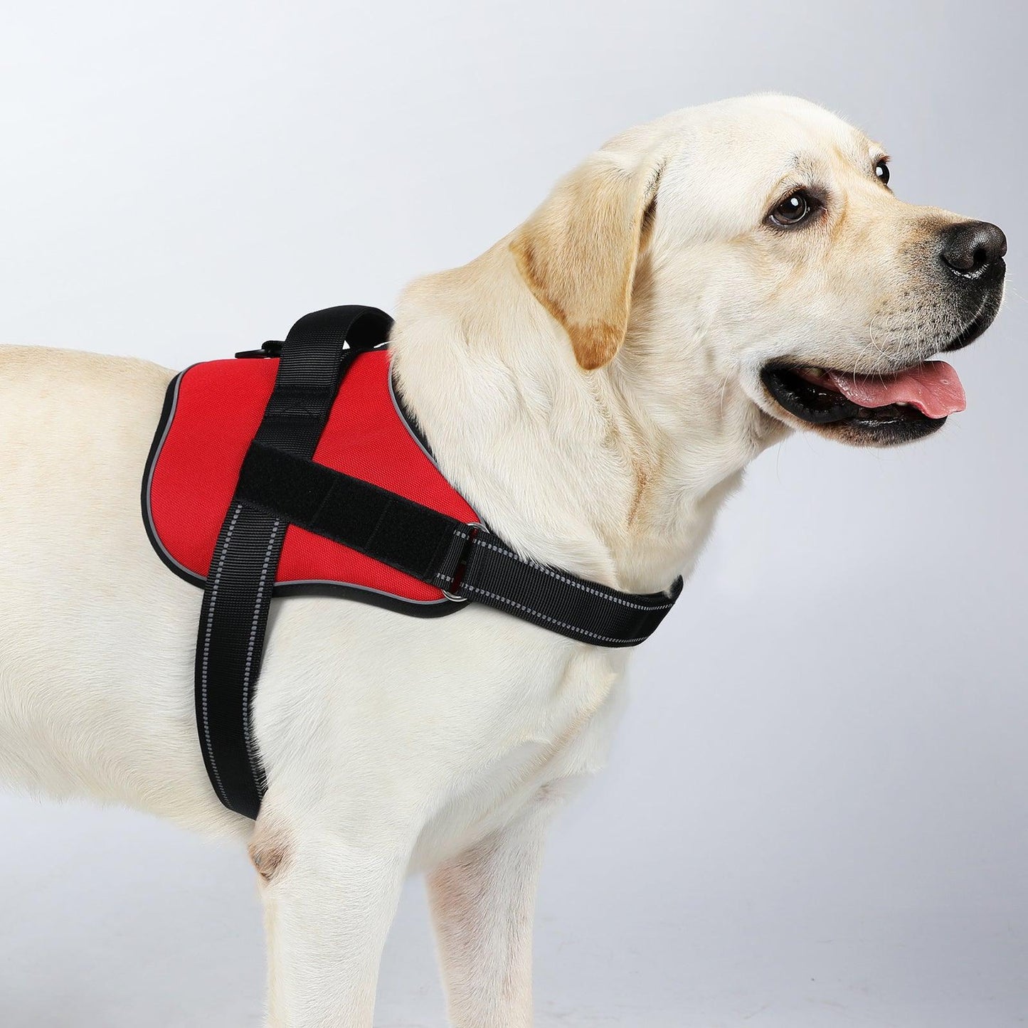 Easy Walk Dog Harness with One Buckle - Red