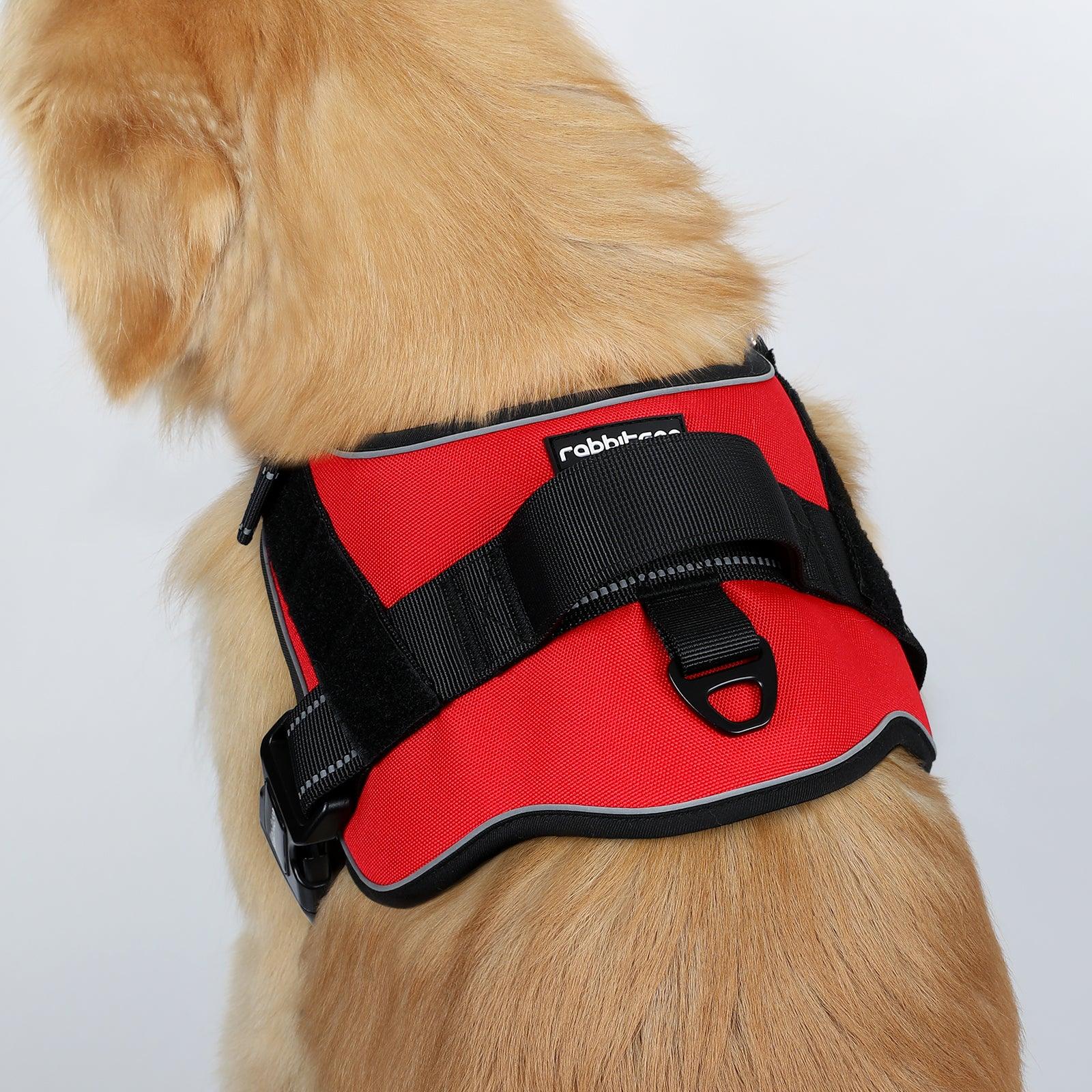 Easy Walk Dog Harness with One Easy-Fit Buckle - Red 