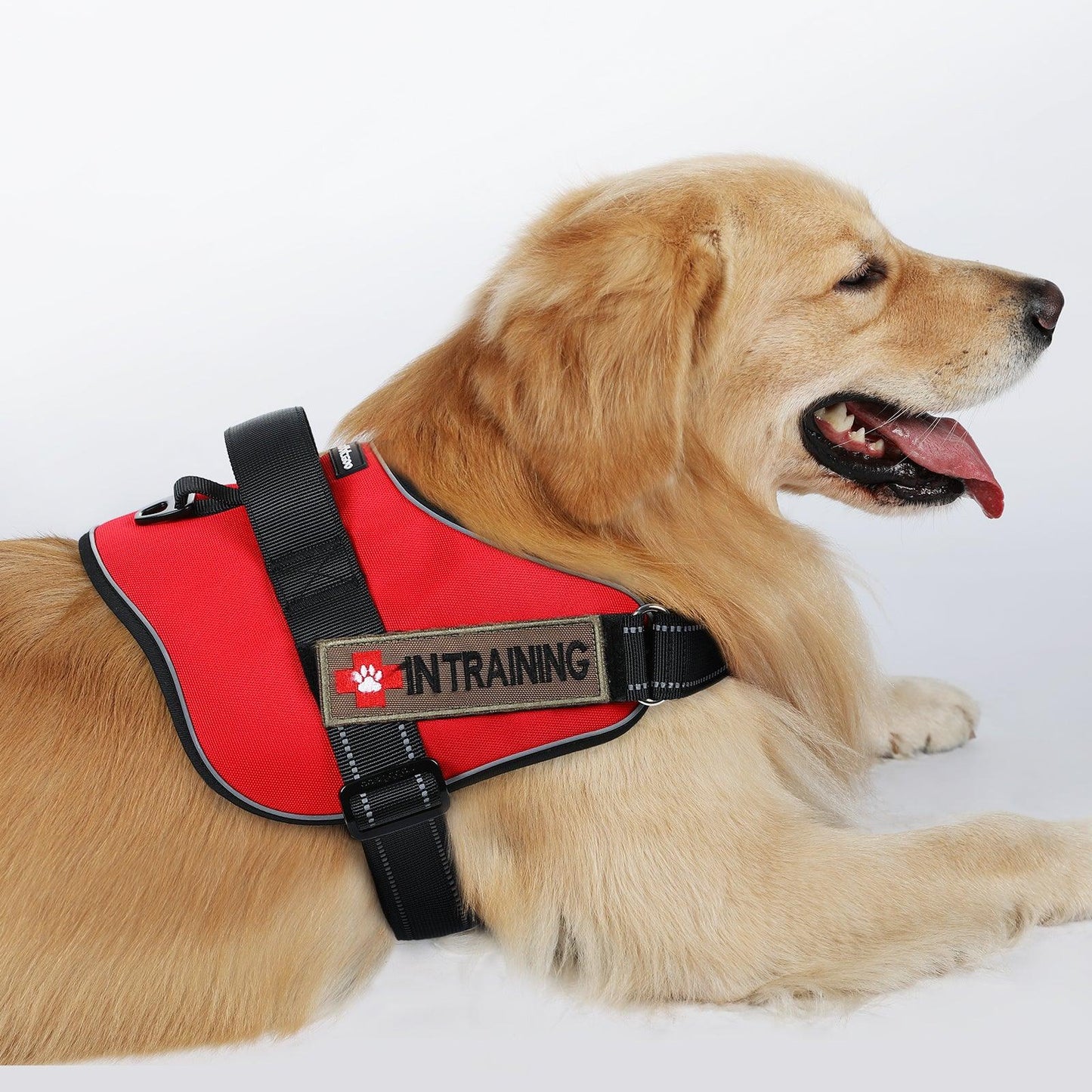 Easy Walk Dog Harness with One Buckle - Red