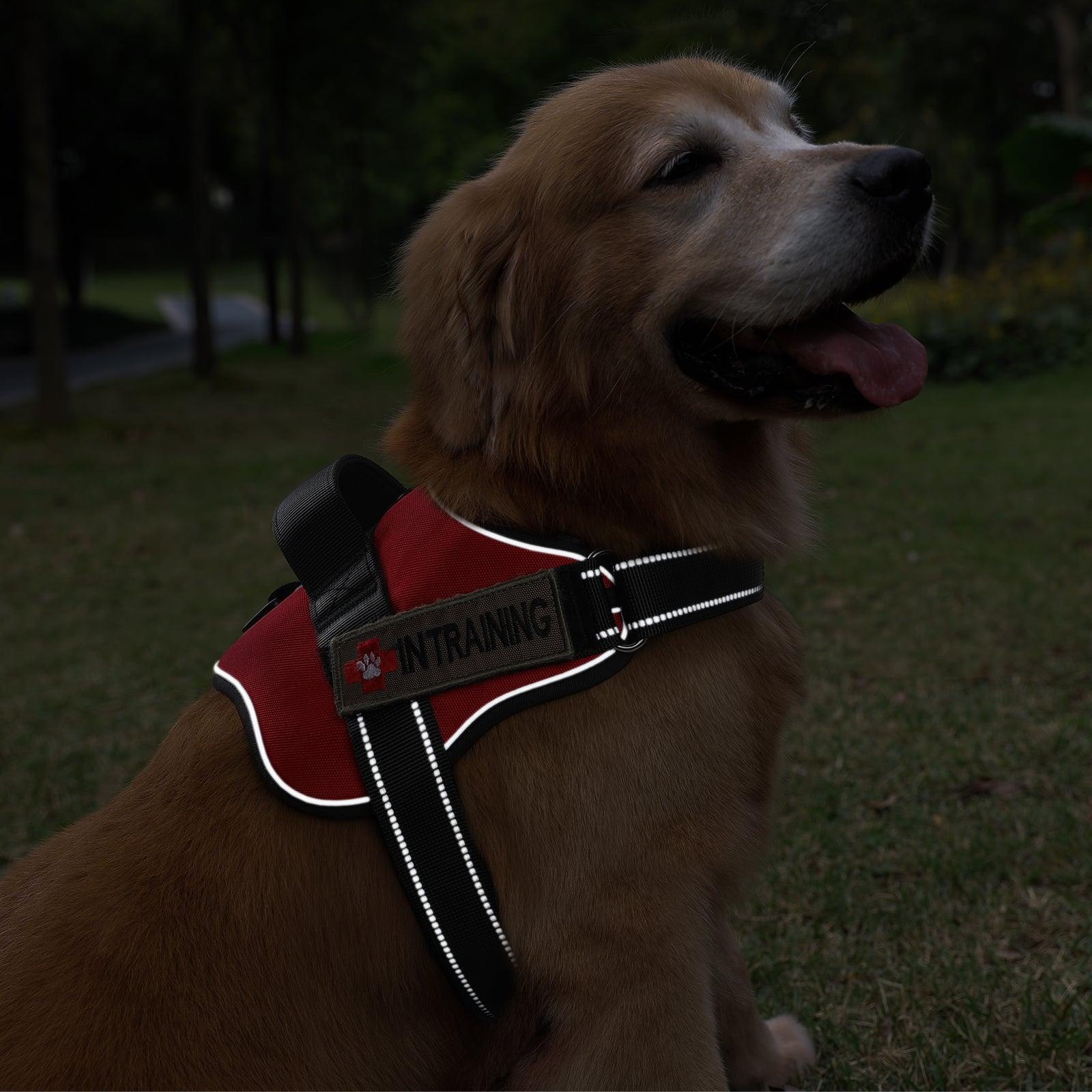 Easy Walk Dog Harness with One Easy-Fit Buckle - Red 