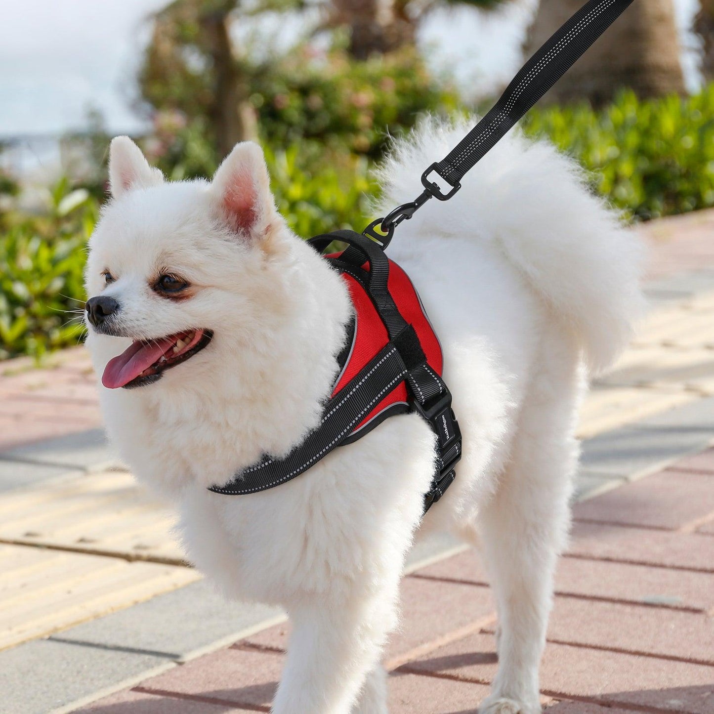 Easy Walk Dog Harness with One Easy-Fit Buckle - Red 