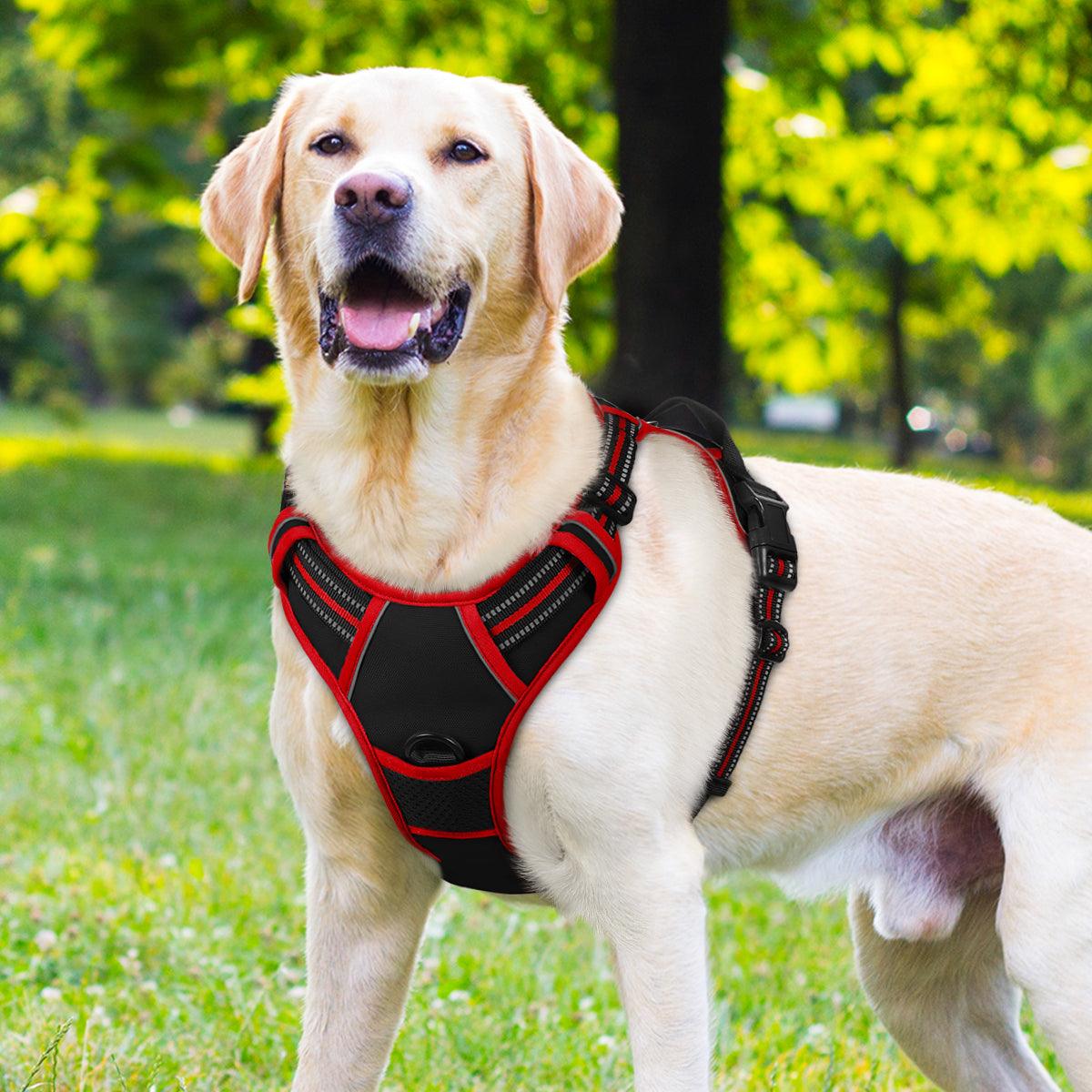 Rabbitgoo Multicolored No Pull Dog Harness - black & red