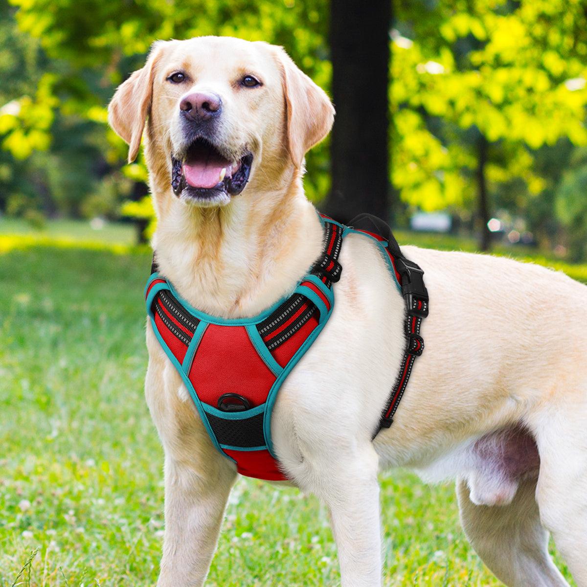 Rabbitgoo Multicolored No Pull Dog Harness - Red & Teal 