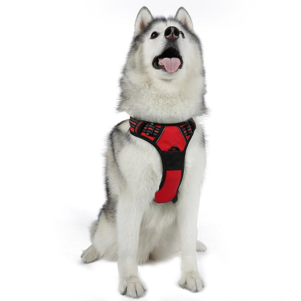 Classic Fit No Pull Dog Harness - Red
