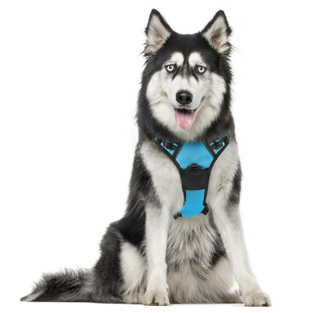 Classic Fit No Pull Dog Harness - Blue